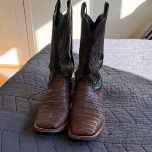Ariat Caiman Belly Boots